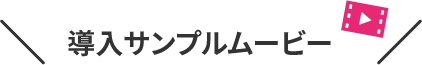 導入サンプルムービー
